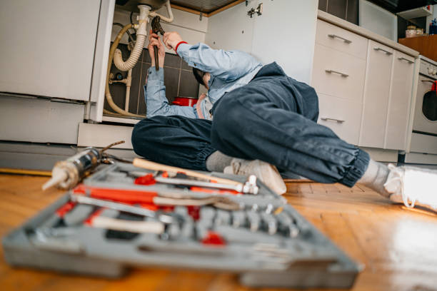 Best Clogged Drain Plumber  in Hoschton, GA